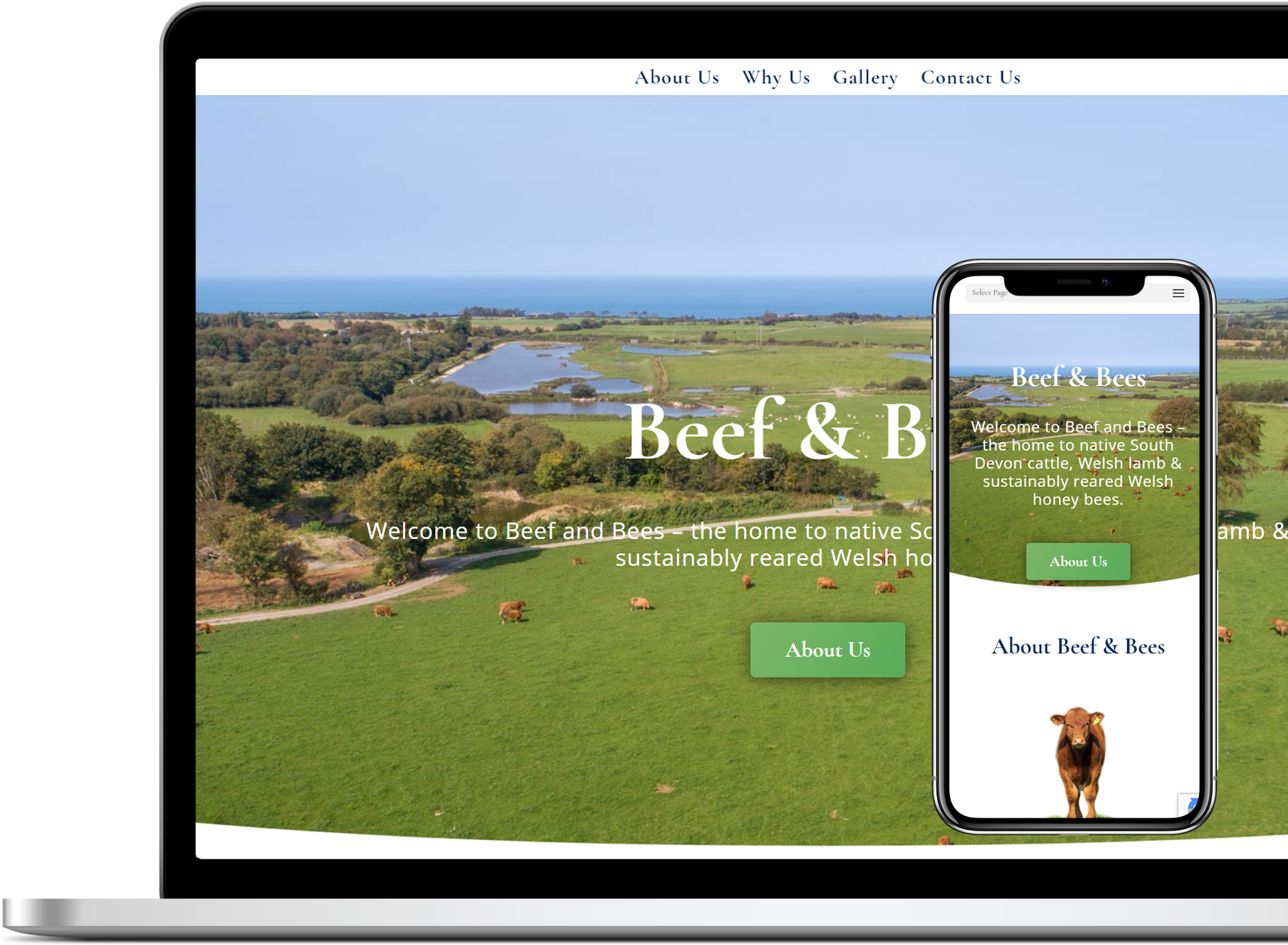 Website Development - Beef & Bees